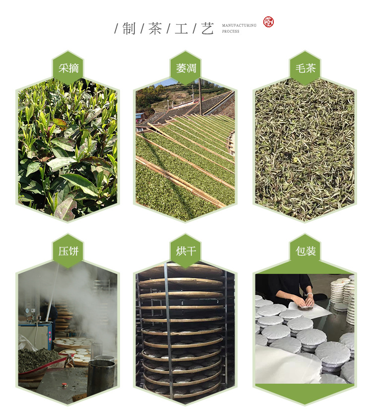制茶工艺