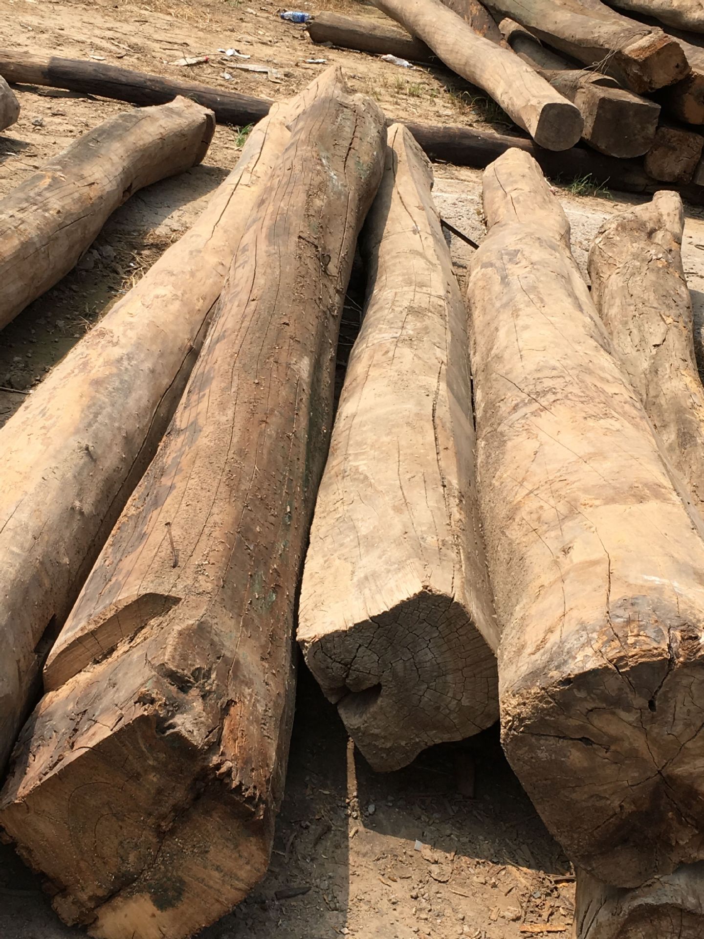 浙江那里有卖老榆木 老榆木原木价格