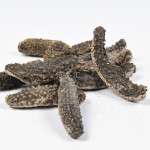 山东海参_山东海参供应商_山东海参批发市场