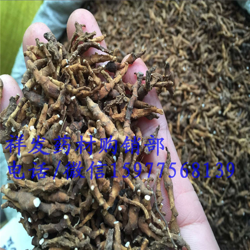九节菖蒲 外菖蒲 节菖蒲 鸡爪莲 九节离 穿骨七 常年批发野生.