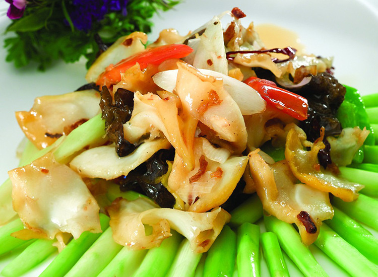 响螺片 厂家批发粗加工海鲜水产品响螺片200克 干制水产品响螺片