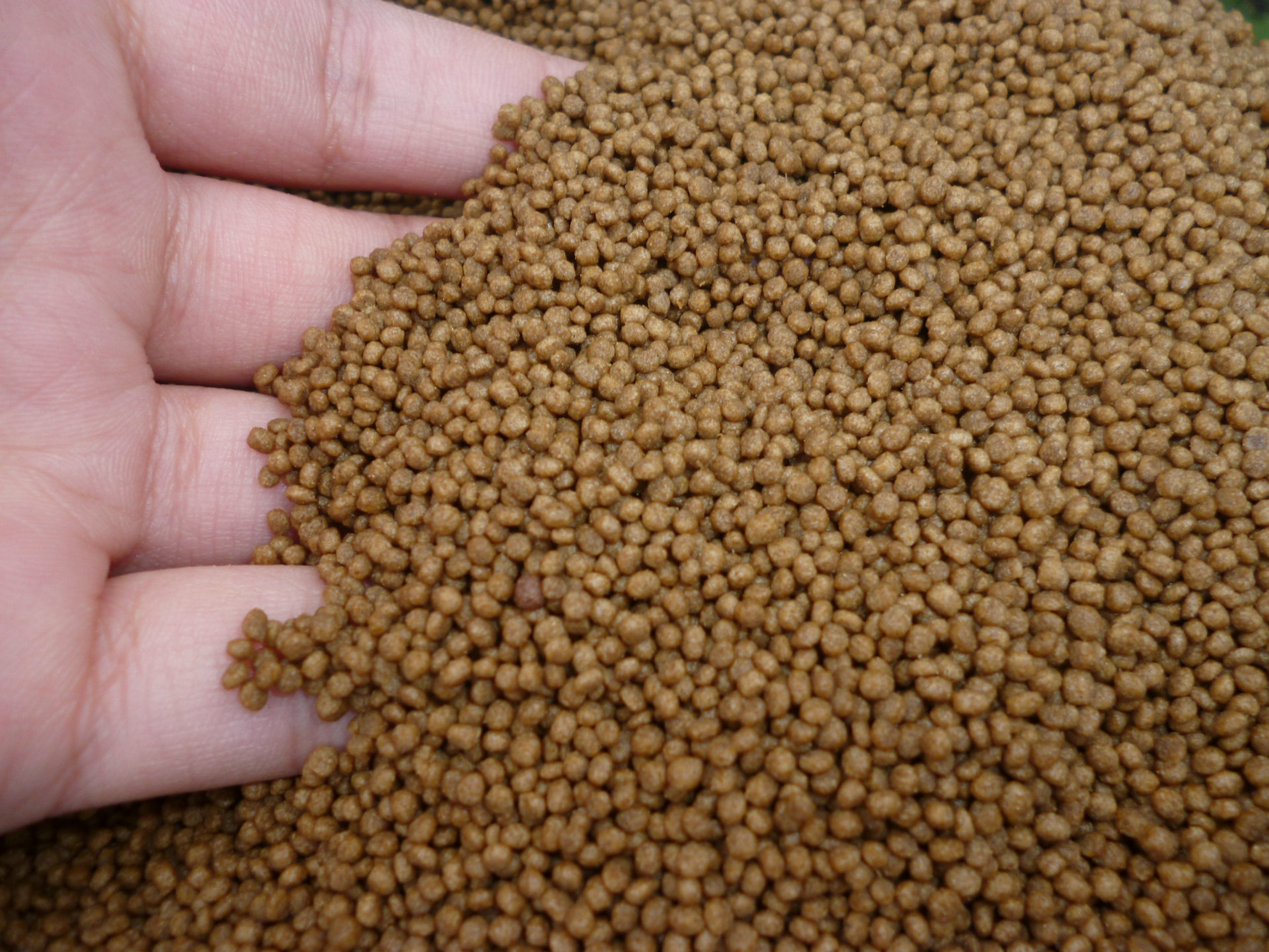 乌龟粮 散装龟饲料 通用乌龟宠物饲料 幼龟开口粮