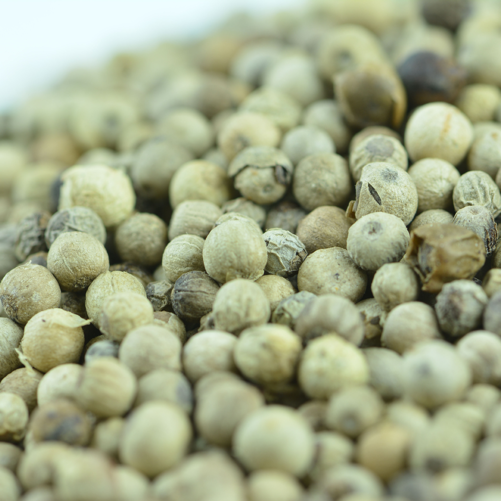厂价批发海南白胡椒 胡椒粉 白胡椒碎 漂白胡椒 调味香料散装500g