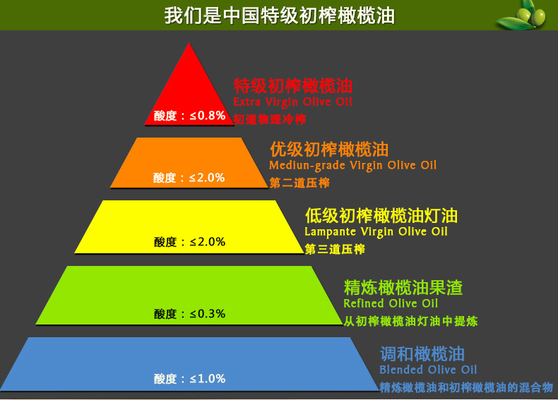 祥宇橄榄油 橄榄之乡特级初榨橄榄油500ml*2礼盒装 庄园直供 包邮