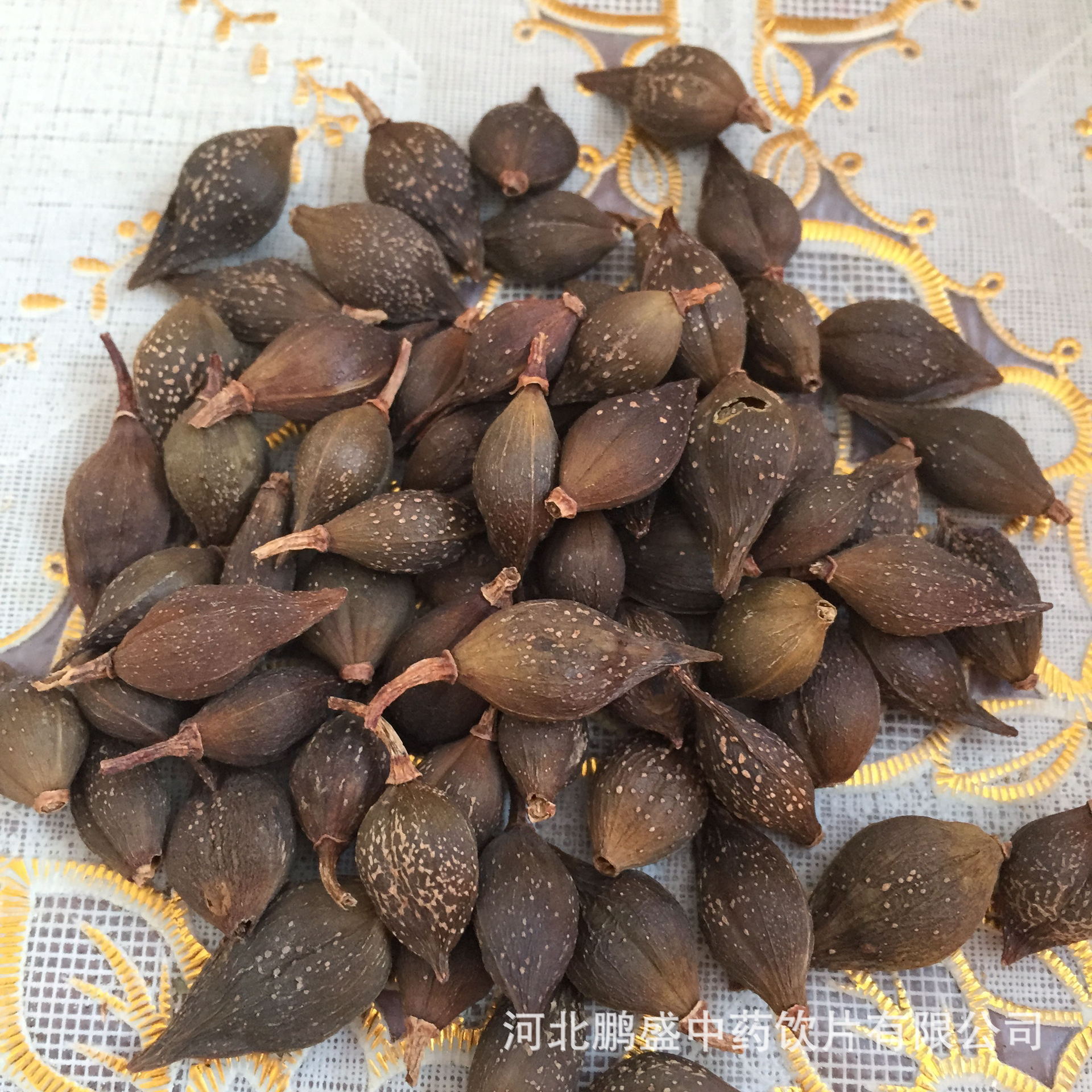 实力商家供应中药材 供应优质连翘