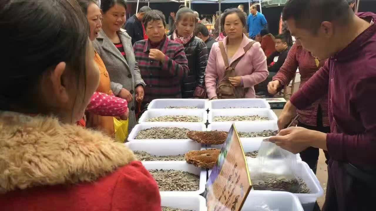 跑江湖地摊内蒙古十全十美香瓜子干瓜子葵花籽批发送广告布录音