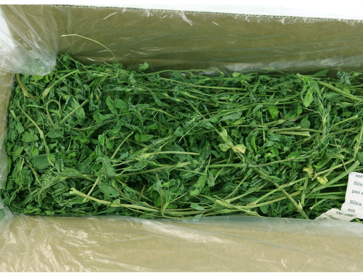 2020紫花苜蓿草干草毛重1kg/箱宠物兔子龙猫苜蓿草牧草豚鼠草粮