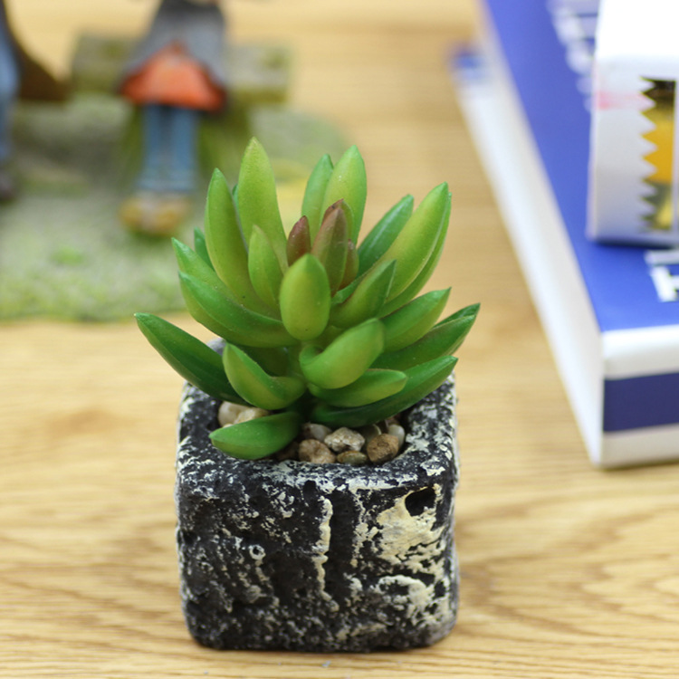 仿真多肉盆景 迷你多肉小花盆 绿色植物绿美人盆栽 zakka