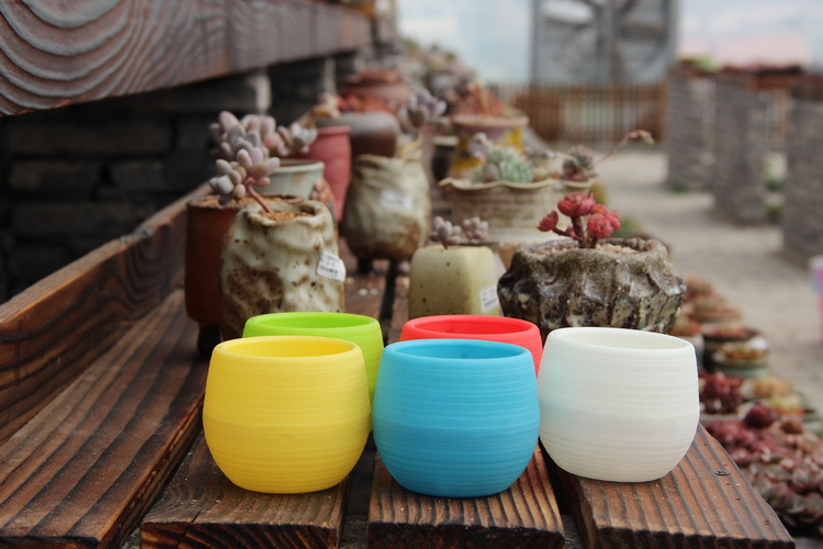 网纹草盆 石丸盆 时尚创意多肉植物花盆 迷你花盆厂家直销