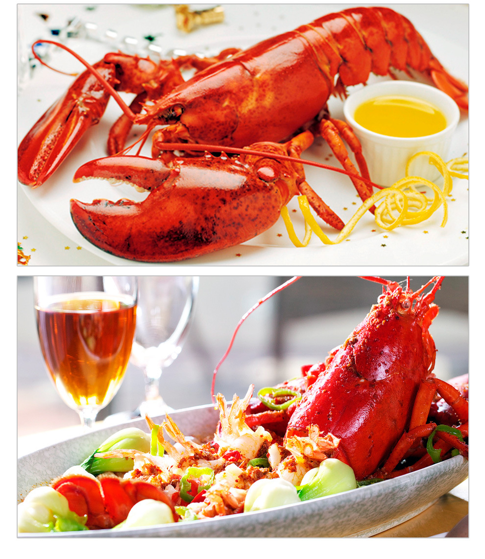 波士顿龙虾 冰鲜野生 瑞恒进口 酒店宴会群餐专供 480g-600g/只