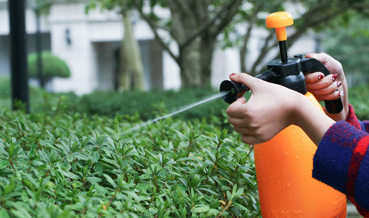 3l新款浇花喷壶气压式喷壶小型喷雾器家庭园艺洒水浇水喷壶工.