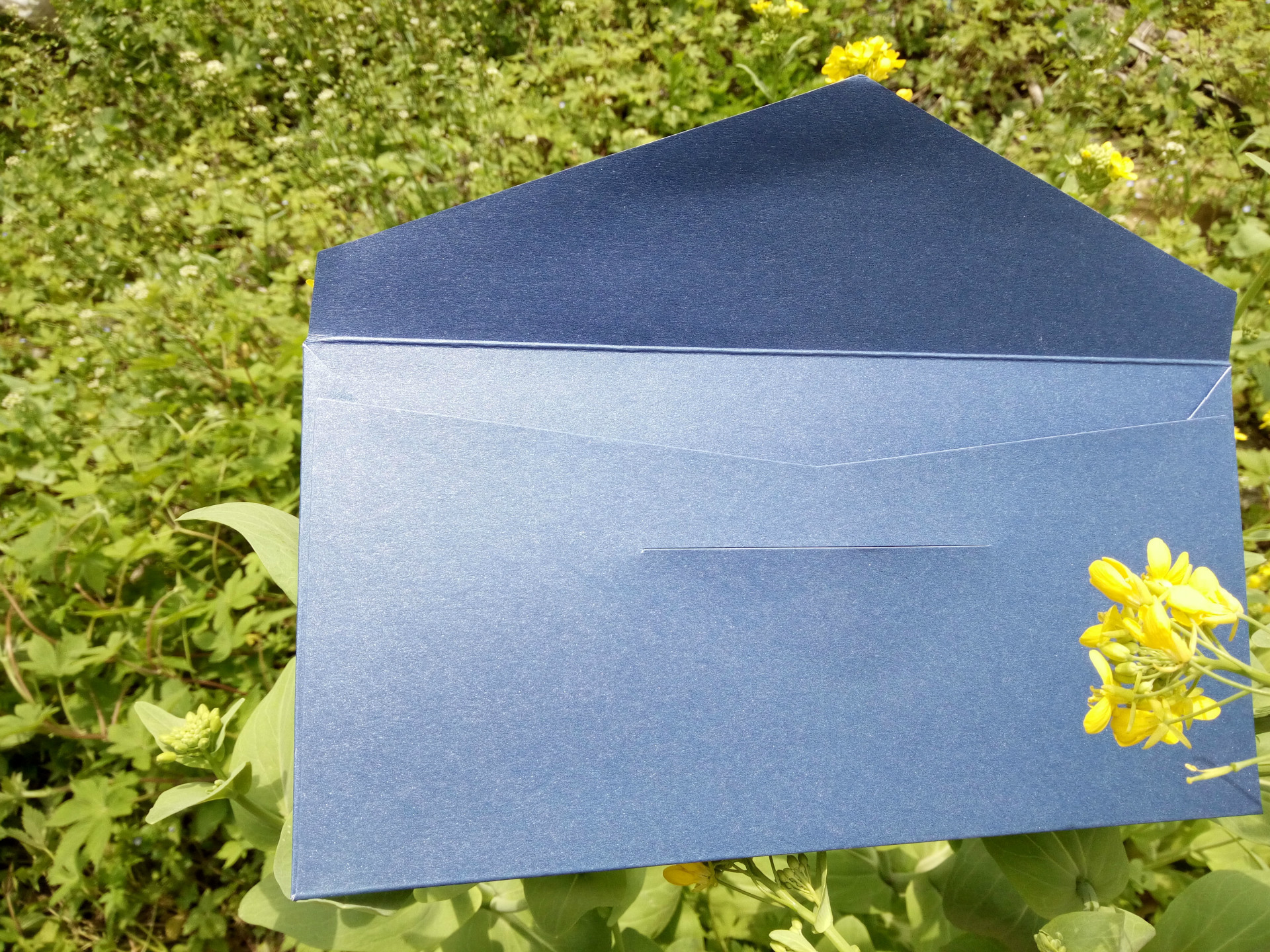 批发高档特种纸商务信封 文艺复古简约彩色空白5号西式信封定制