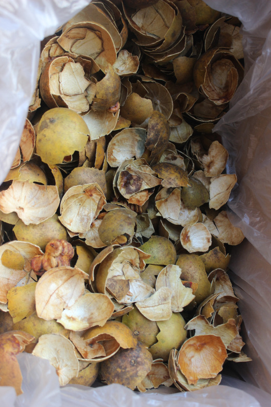 原产地广西桂林罗汉果 生晒果皮 甘甜 永福罗汉果