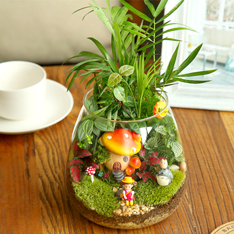 glass vase creative moss micro landscape glass bottle ecological bottle large crystal decoration glass flower