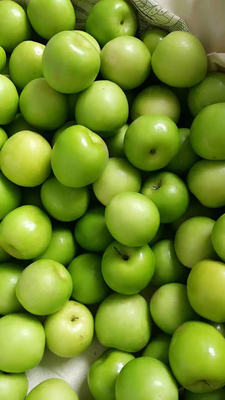 产地直销云南大青枣鲜枣批发 江湖地摊牛奶枣特价包邮