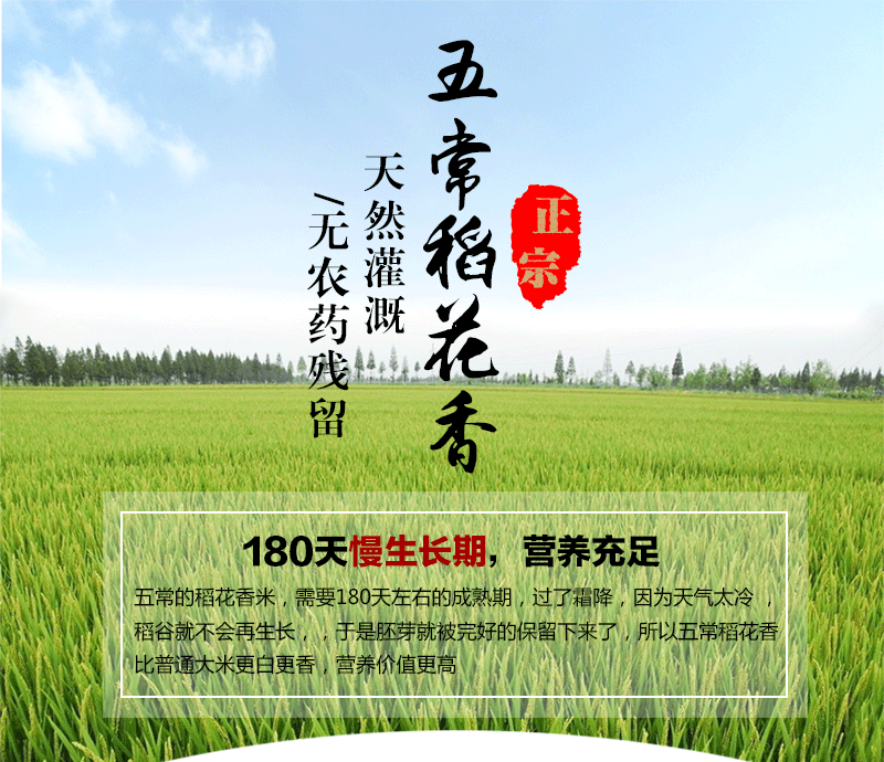 五常稻花香东北大米新米真空装2斤批发贴牌加工一件代发1kg