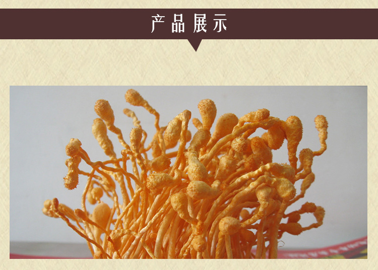 批发虫草花孢子头正品珍稀中草药蛹虫食用菌营养丰富