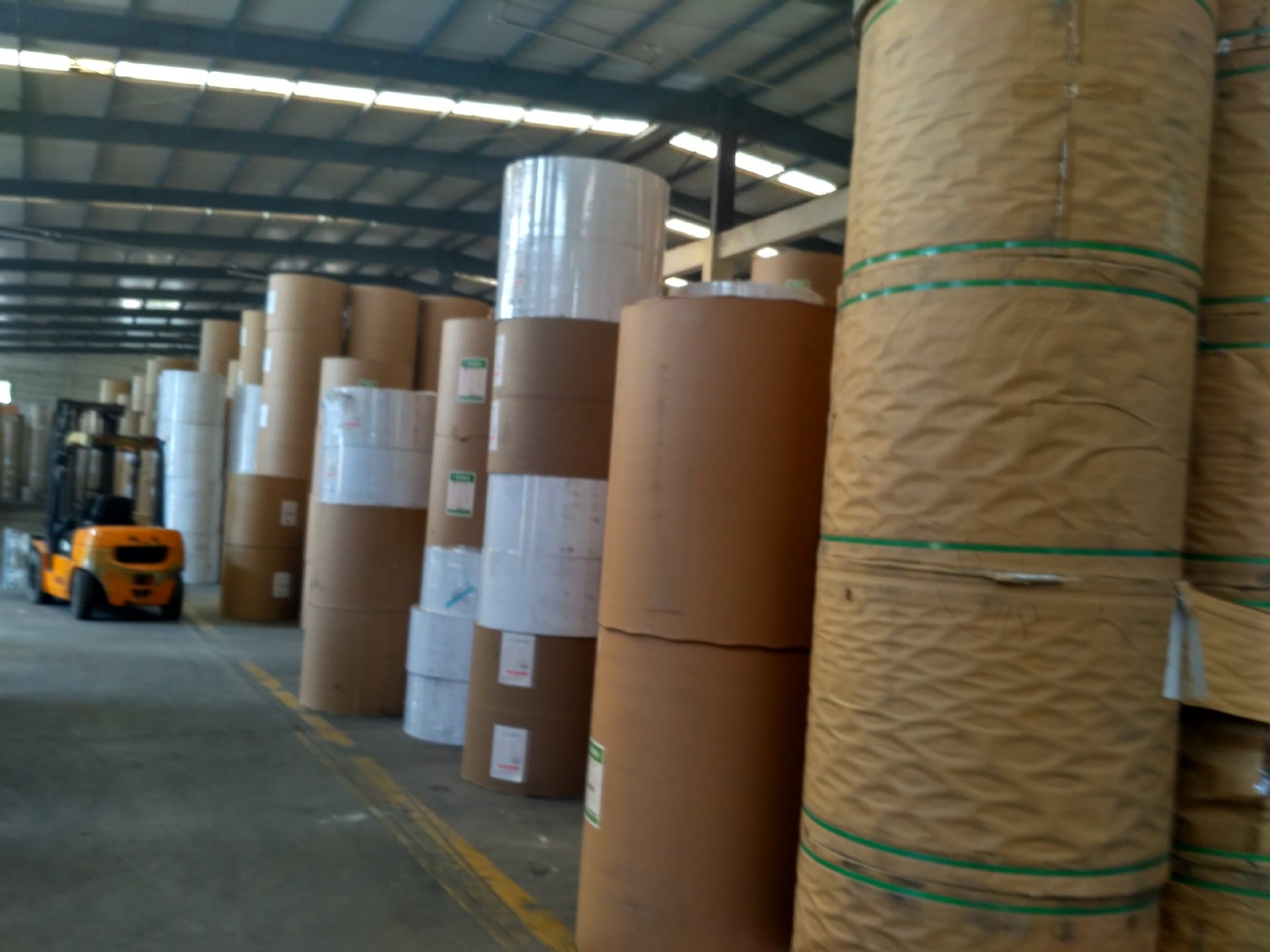 淋膜专用原纸 淋膜纸 35g40g58g60g64g 轻涂纸 铜版纸 离型纸