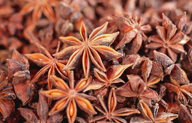 森冉生物八角茴香提取物10:1/大香提取物