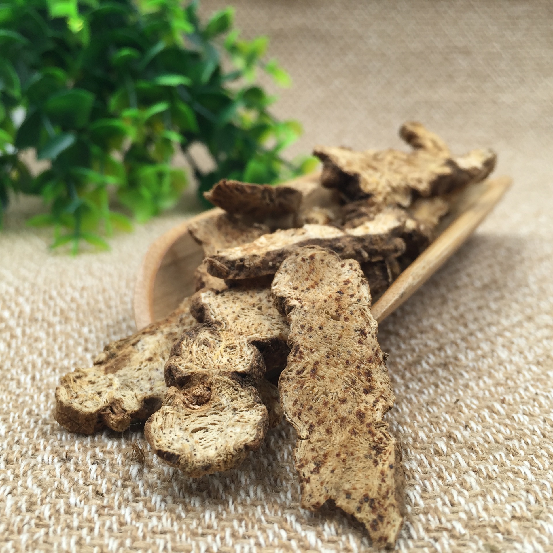 批发包邮无硫精选中药材苍术饮片赤术枪头菜品质保障仙术青术马蓟