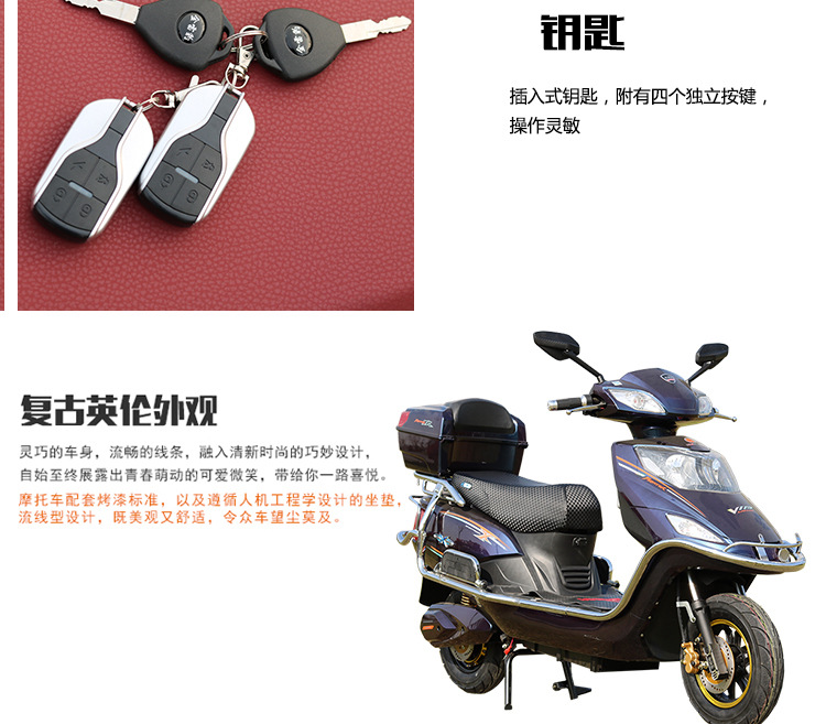 金雷豹厂家批发巨无霸款新品电动车 电瓶车 电动摩托车电动自行车