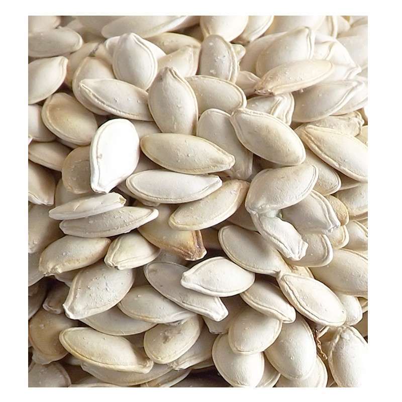 经销批发散装水煮咸味盐焗白南瓜子 角瓜子 葫芦籽 10kg/件