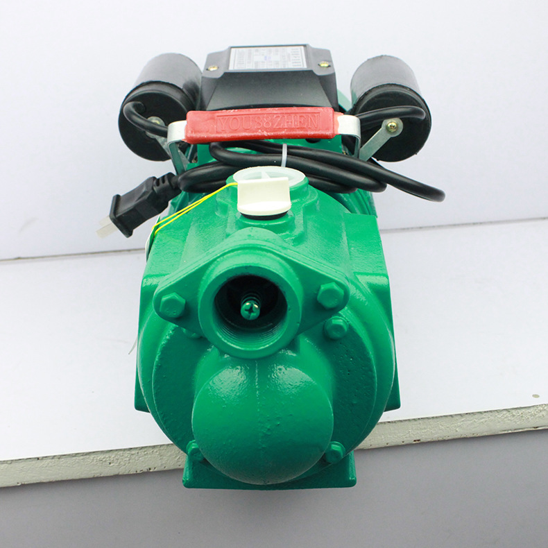 微型压力水泵自吸增压泵农用全自动 双电