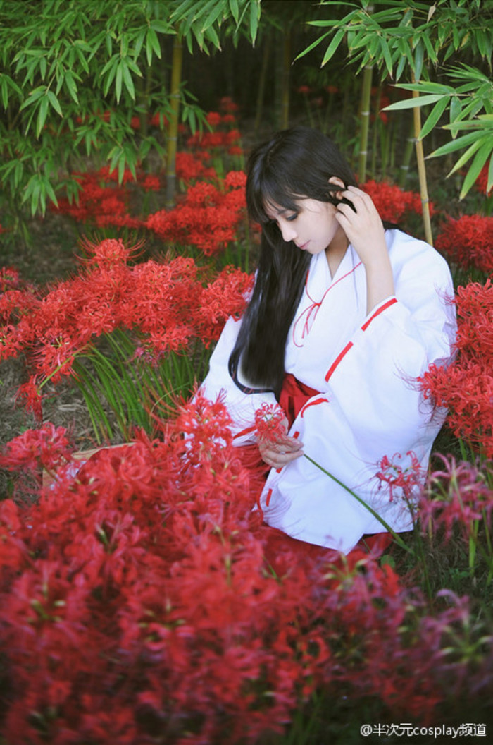 批发 犬夜叉动漫月华夜cos衣服 桔梗巫女cos服 月华夜服装现货