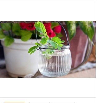 zakka杂货 新款西瓜造型玻璃水培瓶 铁线工艺吊瓶 限时抢批