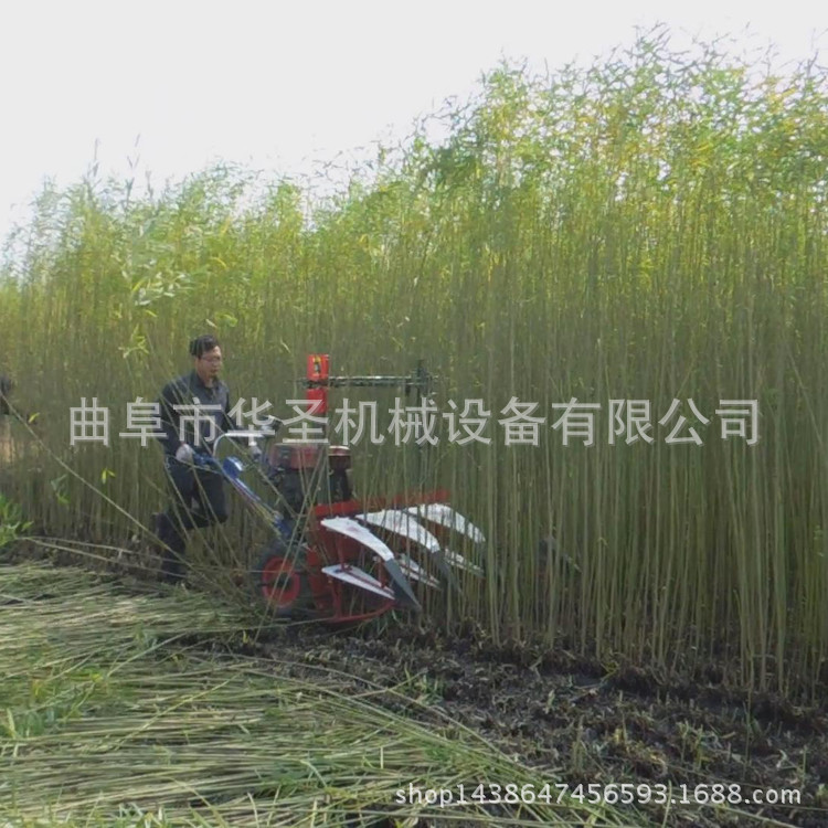 甘肃容易上手割倒机 柳条割倒收割机 小型柴油自走收获机械