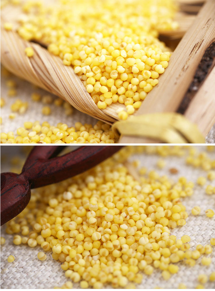 东北特产优质弱碱性乾安黄小米五谷杂粮批发粥米500g