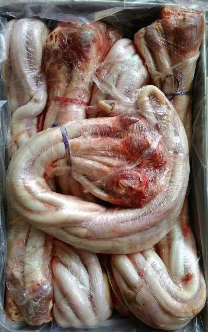 郑记广达牛鞭每斤38元