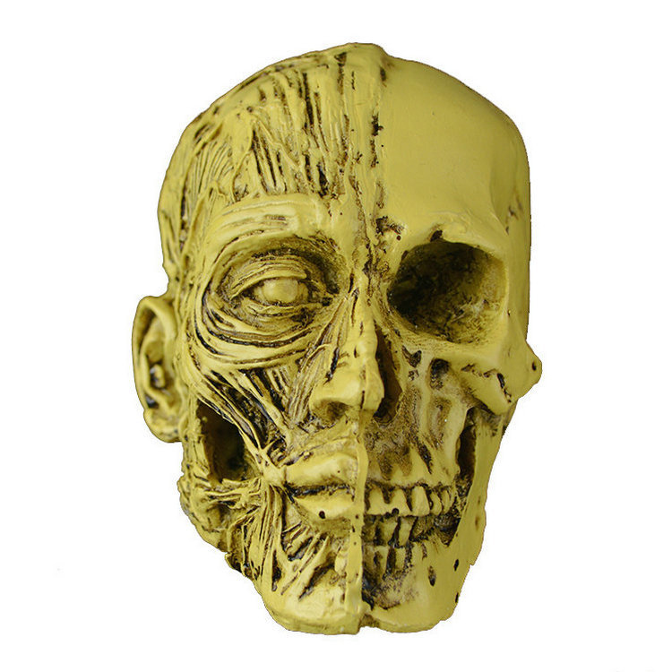 万圣节新款半脸骷髅头摆件道具仿真头骨肌肉骨骼家居摆件模型