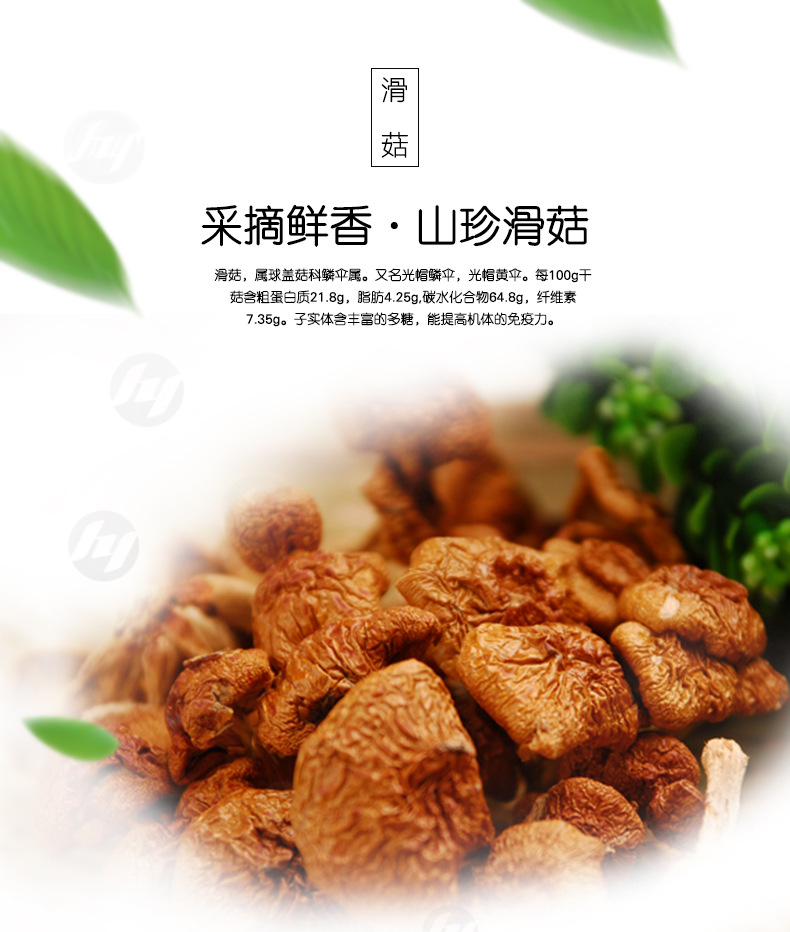 壹鸿古田滑子菇特选珍珠菇干货滑菇批发500g