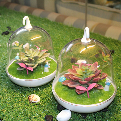 多肉植物生态灯 led创意声控感应开关电池卧室鸟笼灯夜间婴儿灯