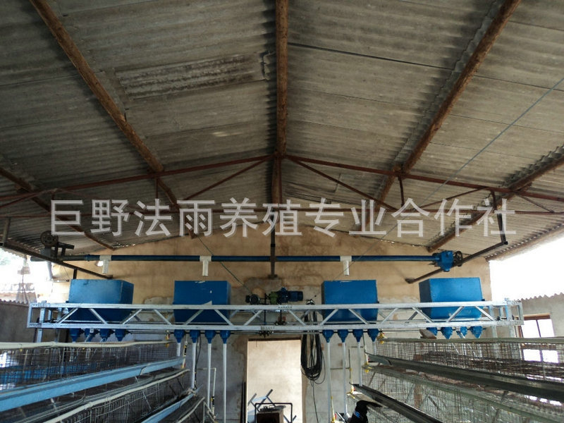 长期供应 猪用自动喂料机 养鸡自动喂料机投料机 自动上料机