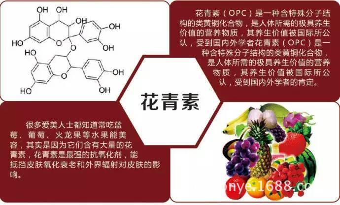 地泰品牌黑金刚土豆 红心土豆双彩土豆套餐5斤装一件代发分销批发