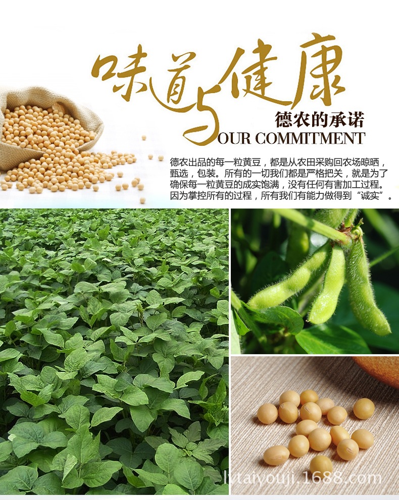 绿太 非转基因**黄豆 东北大豆农家黄豆豆浆豆芽**黄豆 .