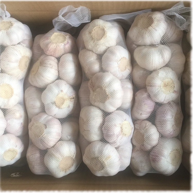 山东大蒜干蒜头大蒜蒜头食品大蒜头