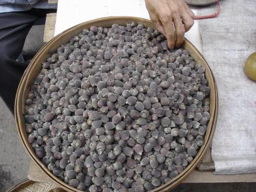 中药材桃金娘金丝桃山稔子岗稔山稔子果桃金娘批发