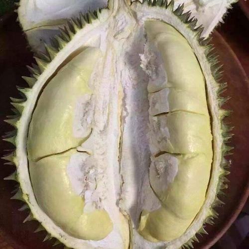 越南牛奶猫山王干尧青皮榴莲按个卖