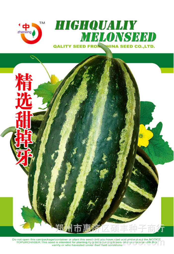 精选特大甜掉牙甜瓜种子 早熟 酥脆多汁 甘甜 长老瓜面甜