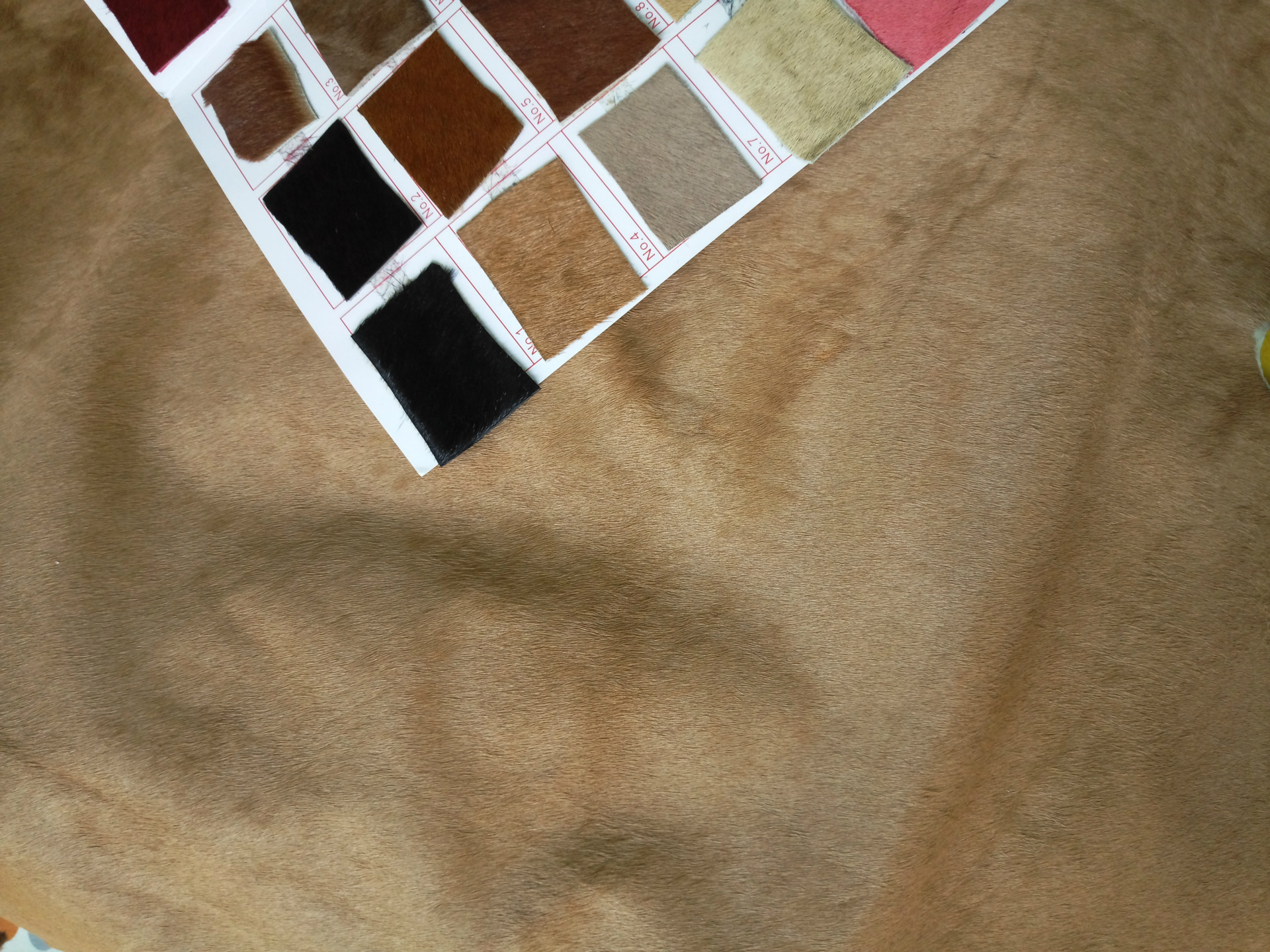 直营环保商标马毛皮革彩色马皮现货批发