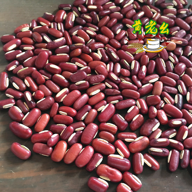 大量供应:赤小豆 红竹豆 长粒红豆 24.5kg 特价批发