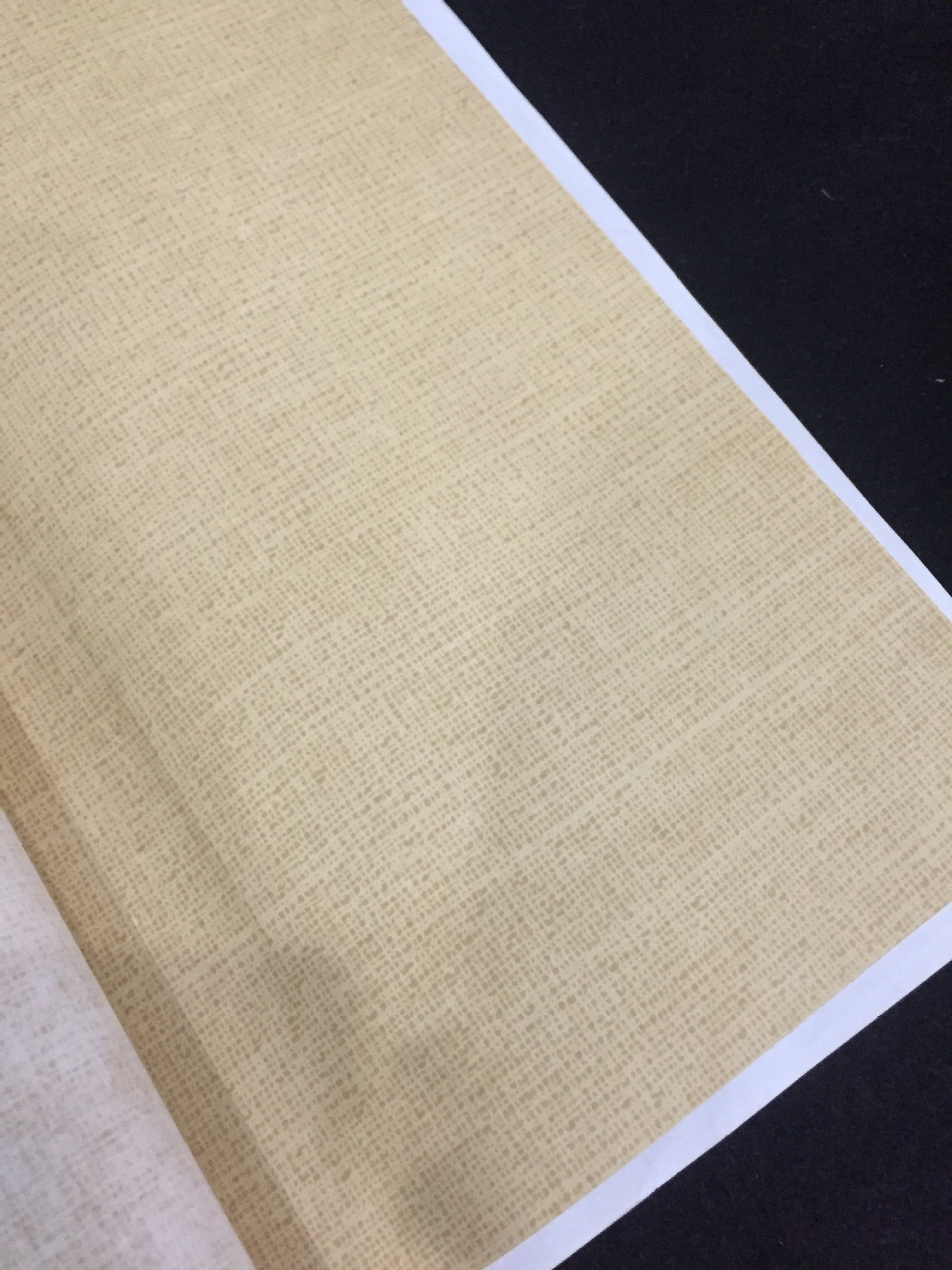 六尺对开 条屏 绢布纹 麻布纹宣纸 粉笺 高档宣纸创作纸展览专用