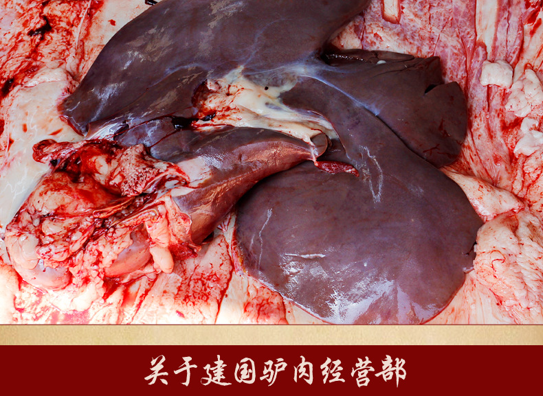 【厂家直销】山东长期供应驴肉副食品 绿色生鲜驴肝 新鲜冷藏.