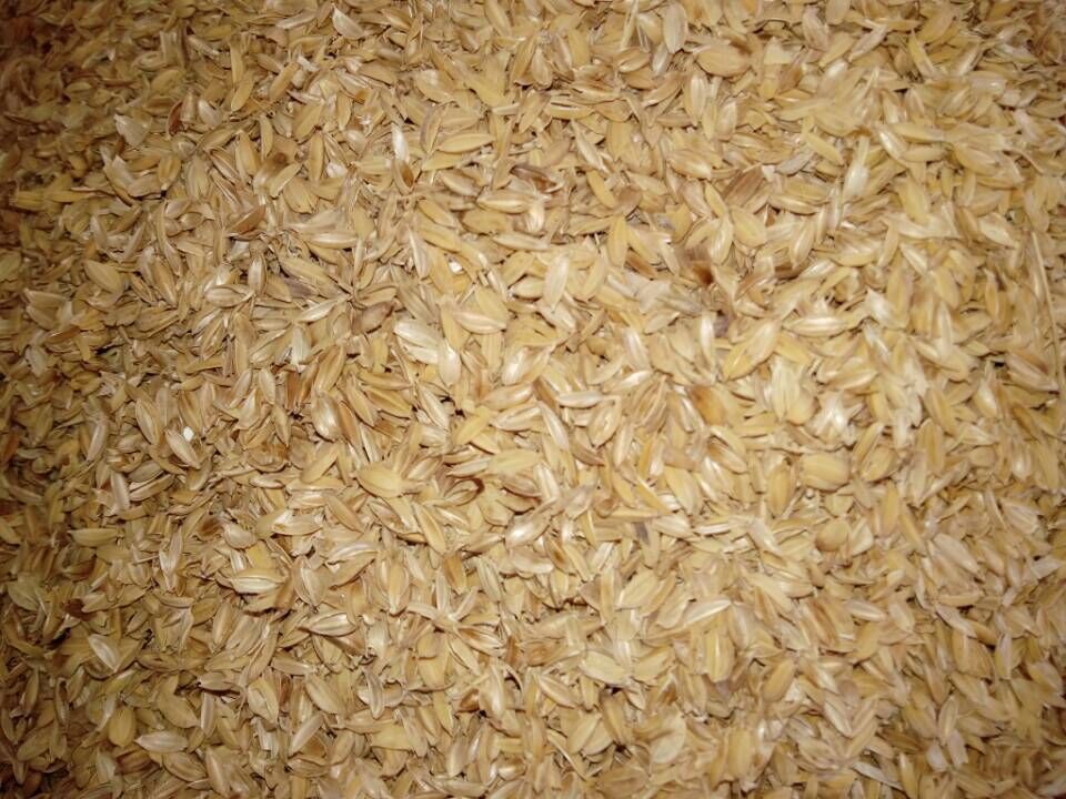 现货供应稻壳 生物原料稻壳 量大从优 质量保证