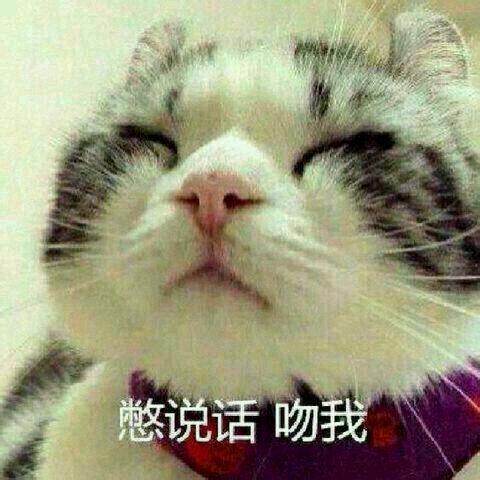 就是这感觉,别说话~~吻我!