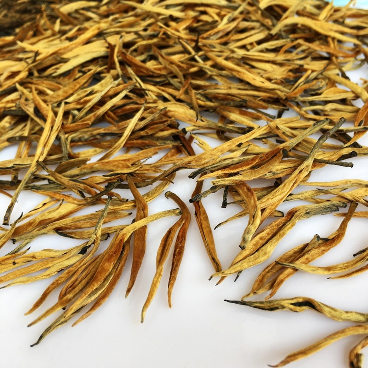 滇红大金针红针金芽单芽 蜜香金针凤庆金针 批发茶农直销松针甜滑