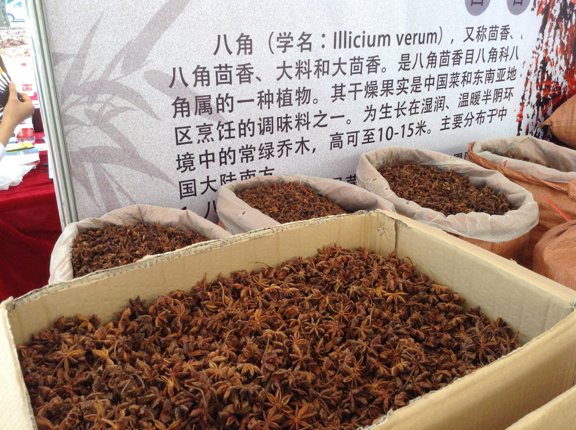 批发供应中药材 广西八角 大茴香调味香料 产地直销